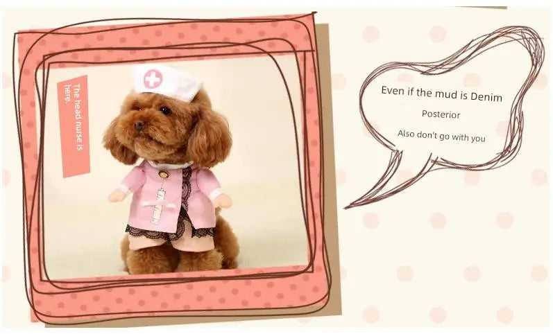 Cat Clothes Dog Clothes Teddy British Shorthair Pet Costume Funny Selling Cute Upright Pet Costume Spring and Summer Clothes Hot Nova Trendz