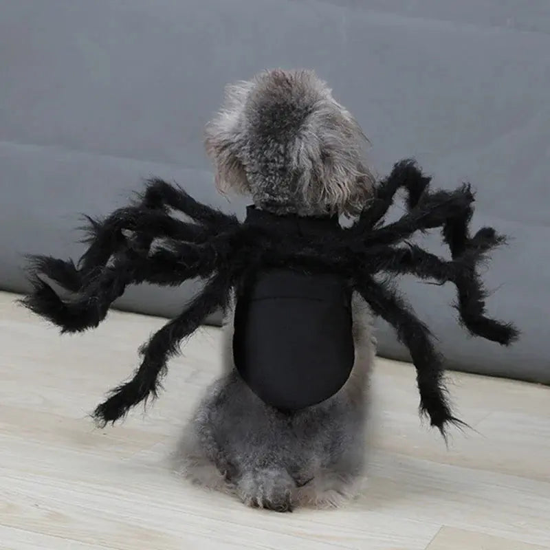 NONOR Halloween Dog Cat Clothes Pet Cosplay Funny Spider Costume Halloween Party Costumes for Small Medium Dog Cat Costumes Nova Trendz