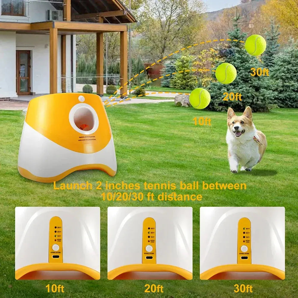 With 5 balls Automatic Ball Launcher for Dogs 3 Adjustable Distances Settings,Improves the dog's intelligence Outdoor pet game - Nova Trendz