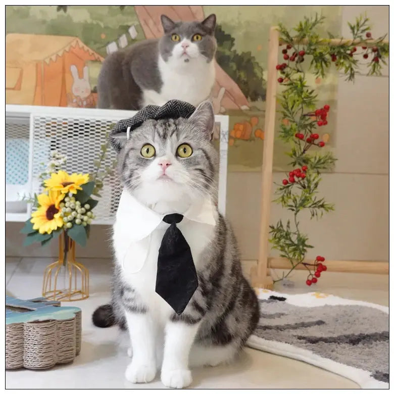 Funny Pet Cat Hat Gentleman's Hat Beret Tie Bathing Blood Gangster Handsome Cosplay Photo Prop Dog Halloween Costume Nova Trendz