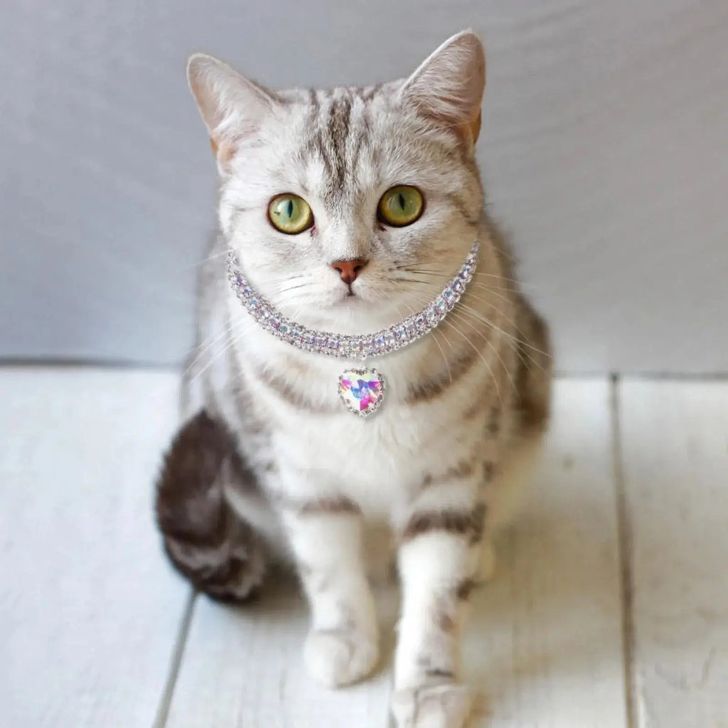Dog Cat Rhinestone Diamante Collar Necklace Puppy Crystal Bling Pet Accessories For Puppy Kitten Crystal Pendant Diamond Collars Nova Trendz