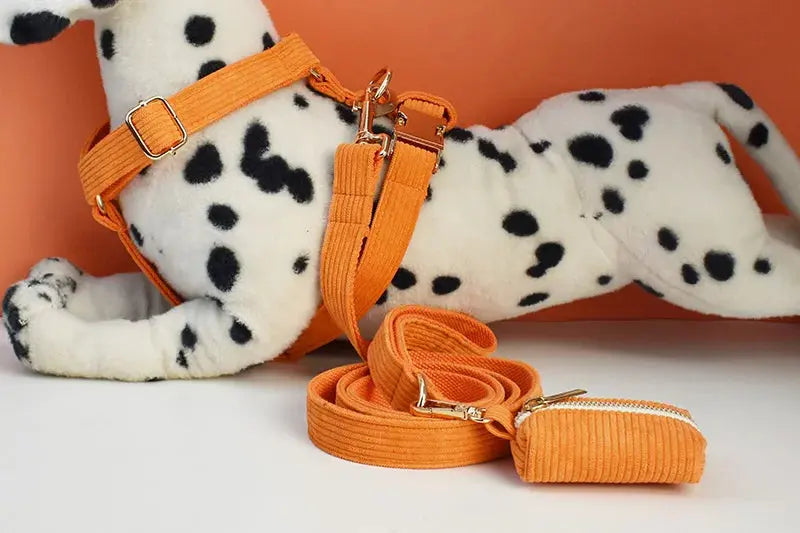 Orange Corduroy Dog Collar And Leash Set For Dogs Custom Engraved Nameplate Pet Supplies Dog Leash Corduroy11 Nova Trendz