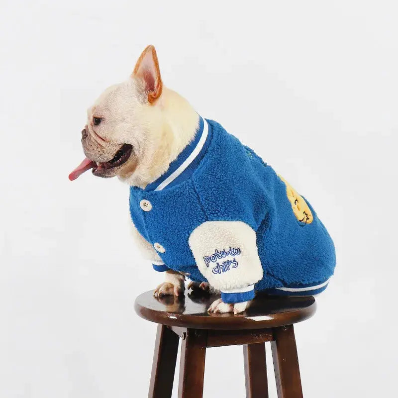 Thickened Warm Baseball Jacket, Pet Clothes, Autumn and Winter - Nova Trendz
