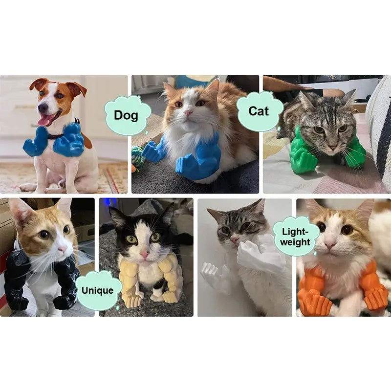 Funny Cat Muscle Arm Clothing Decoration Props 3D Printed Pet Interactive Neck Hanging Toy Role-playing Accessories Birthday Toy Nova Trendz