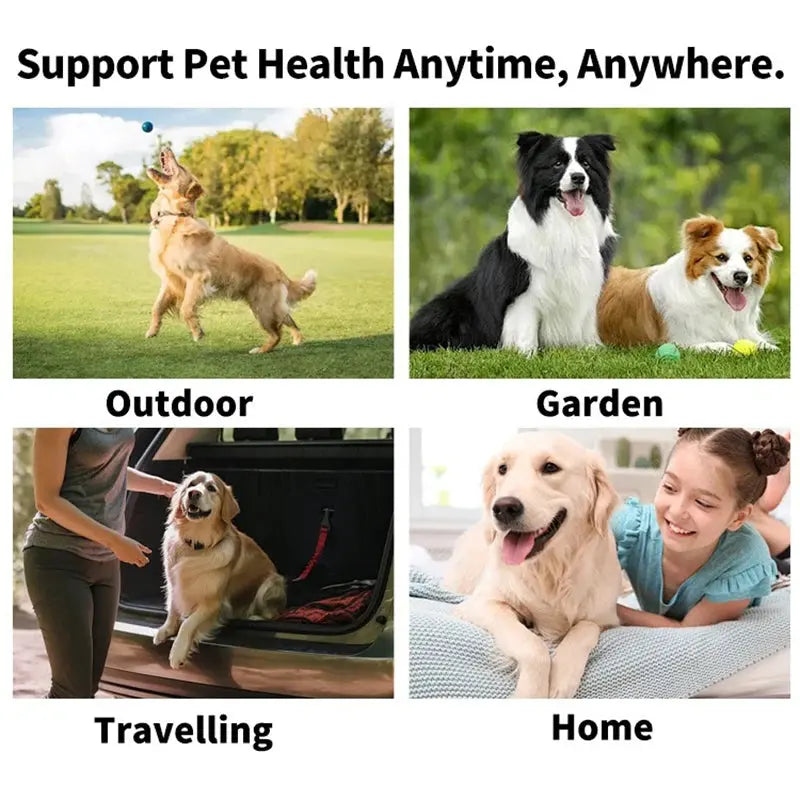 Pet cleaning products Disposable finger toothbrush Pet teeth cleaning finger covers wet wipes  Dog and cat oral cleaning Nova Trendz