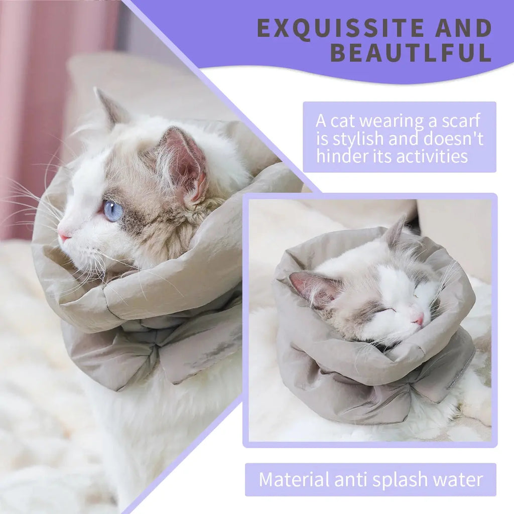 A colorful and fashionable pet warm collar and waterproof scarf for cats to prevent licking and biting after sterilization surge - Nova Trendz