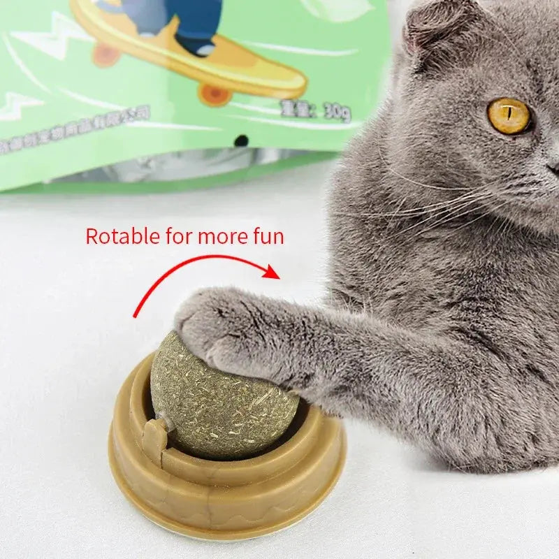 Natural Catnip Cat Wall Stick-on Ball Toy Scratchers Treats Healthy Natural Removes Balls to Promote Digestion Cat Grass Snack - Nova Trendz