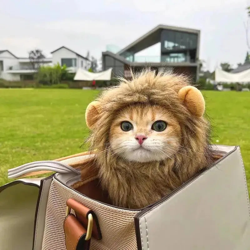 Cat Cosplay Dress Up Pet Hat Lion Mane for Cat Puppy Lion Wig Costume Party Decoration Halloween Christmas GatosPet Supplies Nova Trendz