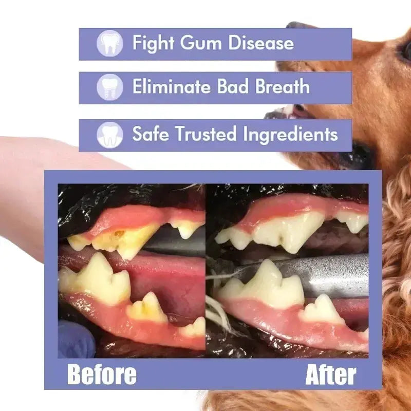 Pet Teeth Cleaning Spray Oral Care Remove Tooth Stains Keep Fresh Breath for Cats and Dogs Whitening  Remove bad breath - Nova Trendz