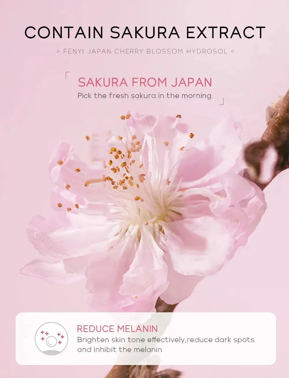Face Care Sakura Water Nourishing Skin Improve Dullness  Facial Toner Damask  Korean Skincare Products 100 ML Nova Trendz
