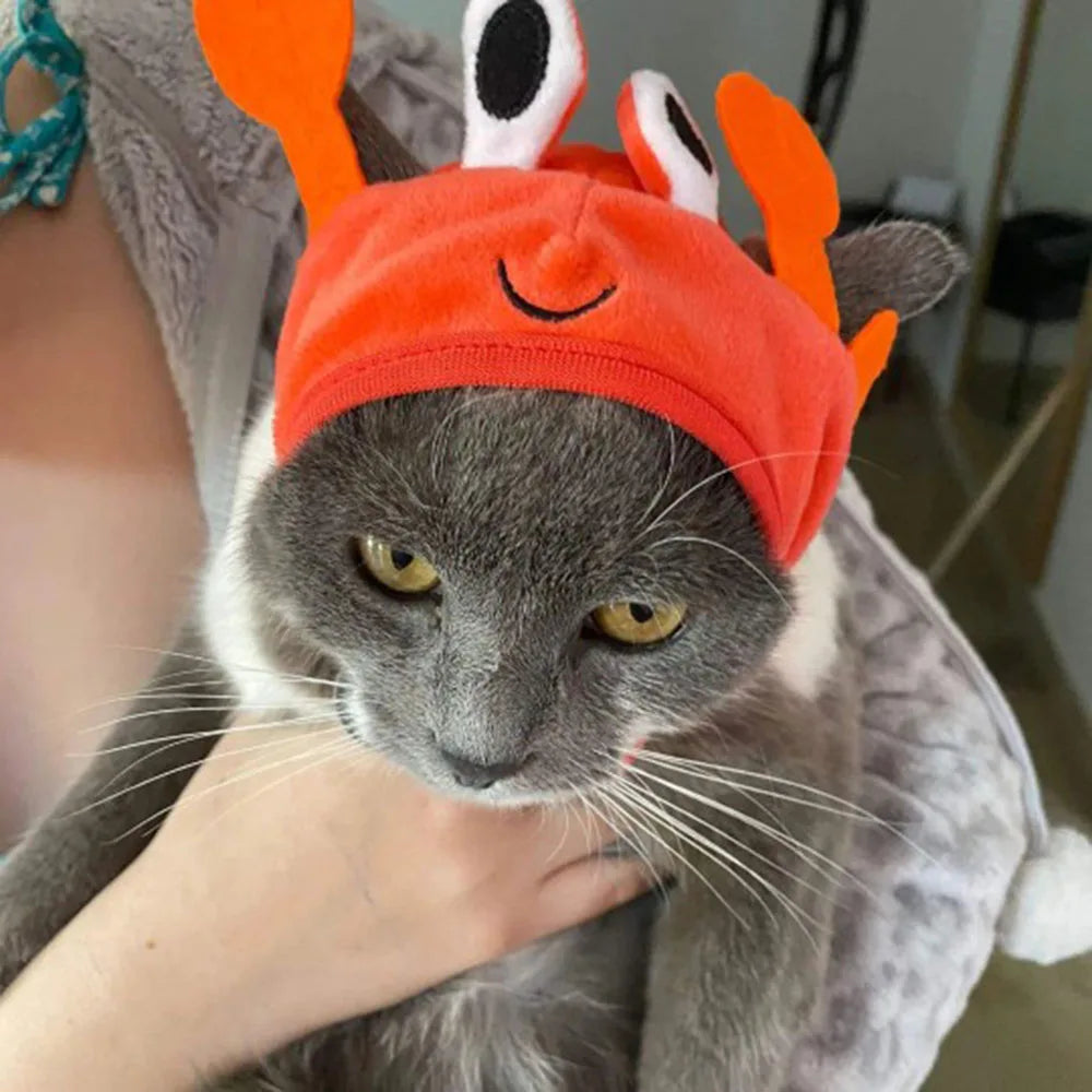 Halloween Easter Pet Costume Novelty Crab Lobster Frog Hat for Cat Puppy Hat Dog Cap Soft Headgear for Birthday Party Photo Prop