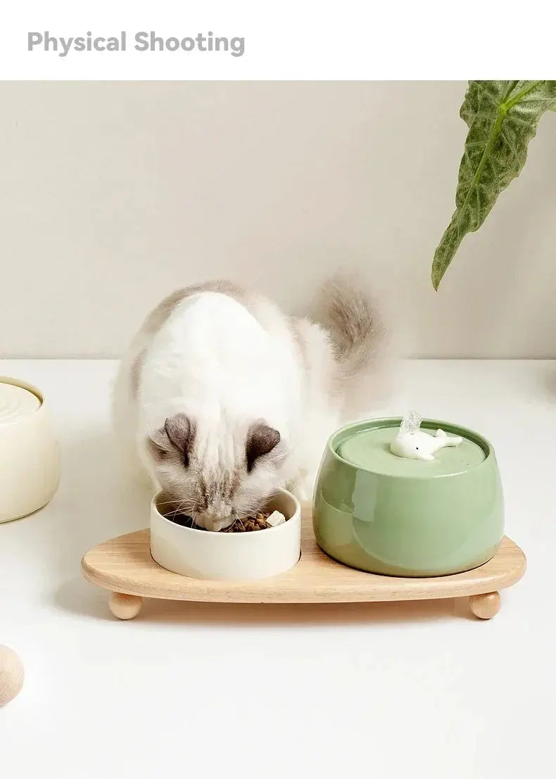 1.3 L Ceramic Cat Water Fountain USB Charging Pet Water Feeders Dogs Automatic Circulating Filtration Flow Water Dispenser Nova Trendz