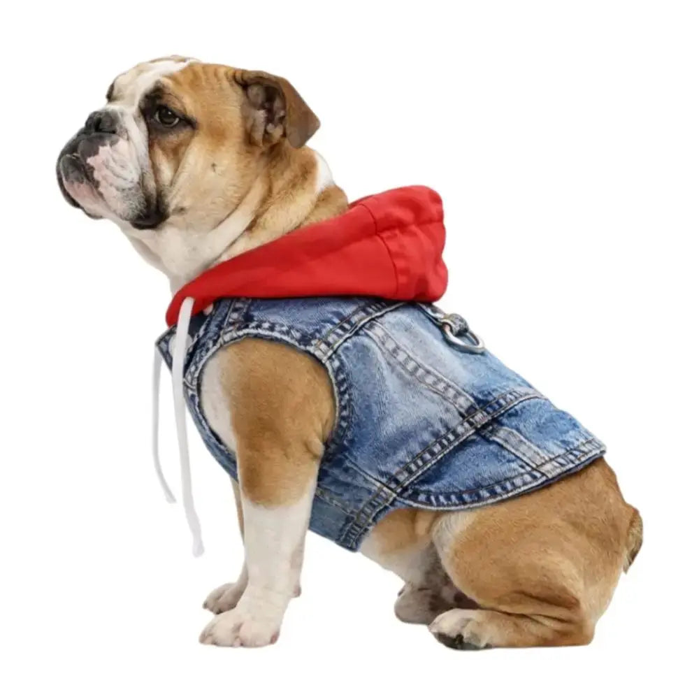 Denim Dog Jean Jacket Vest with D-Ring Cool Spring Dog Hoodies Breathable Lightweight Puppy Harness Coat For Small Medium Dogs - Nova Trendz