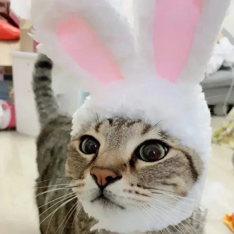 Cat Costume Cute Lion Mane Cat Wig Hat Cosplay Clothes Cap Dress Up Puppy Kitten Halloween Christmas Party Decoration Supplies Nova Trendz