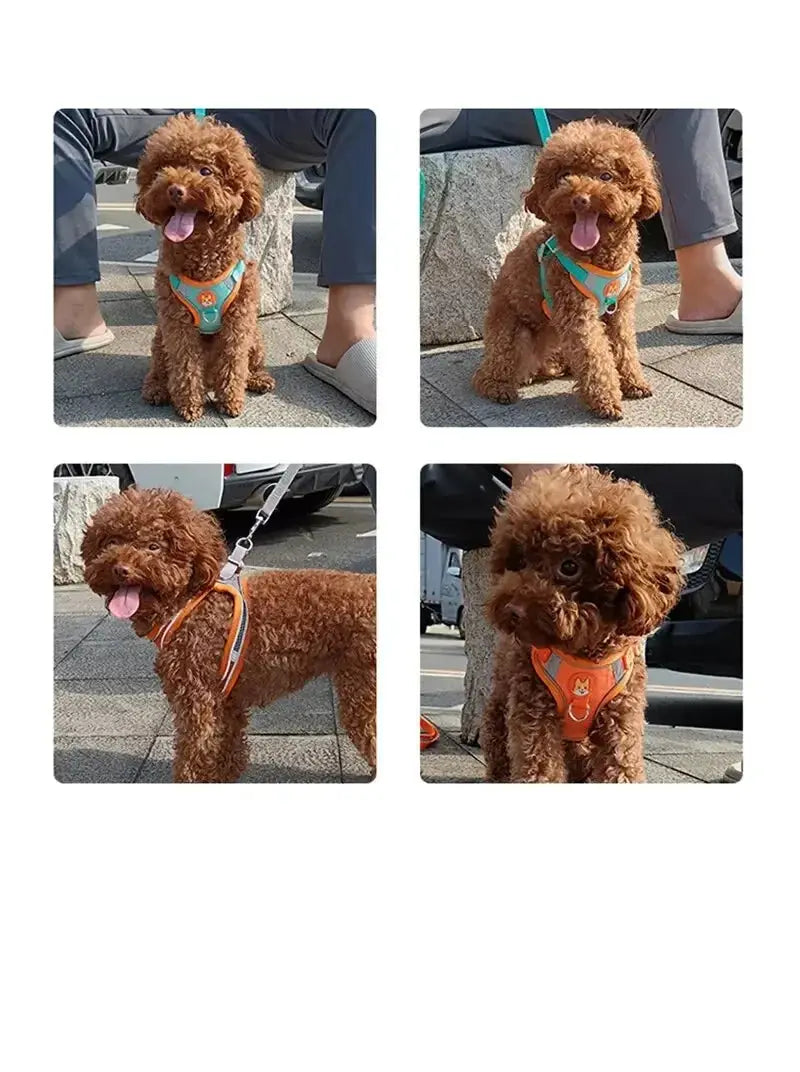Booteely Pet Suede Chest Harness Vest Dog Cat Strap Reflective Leash Retractable For Small Light And Convenientn - Nova Trendz