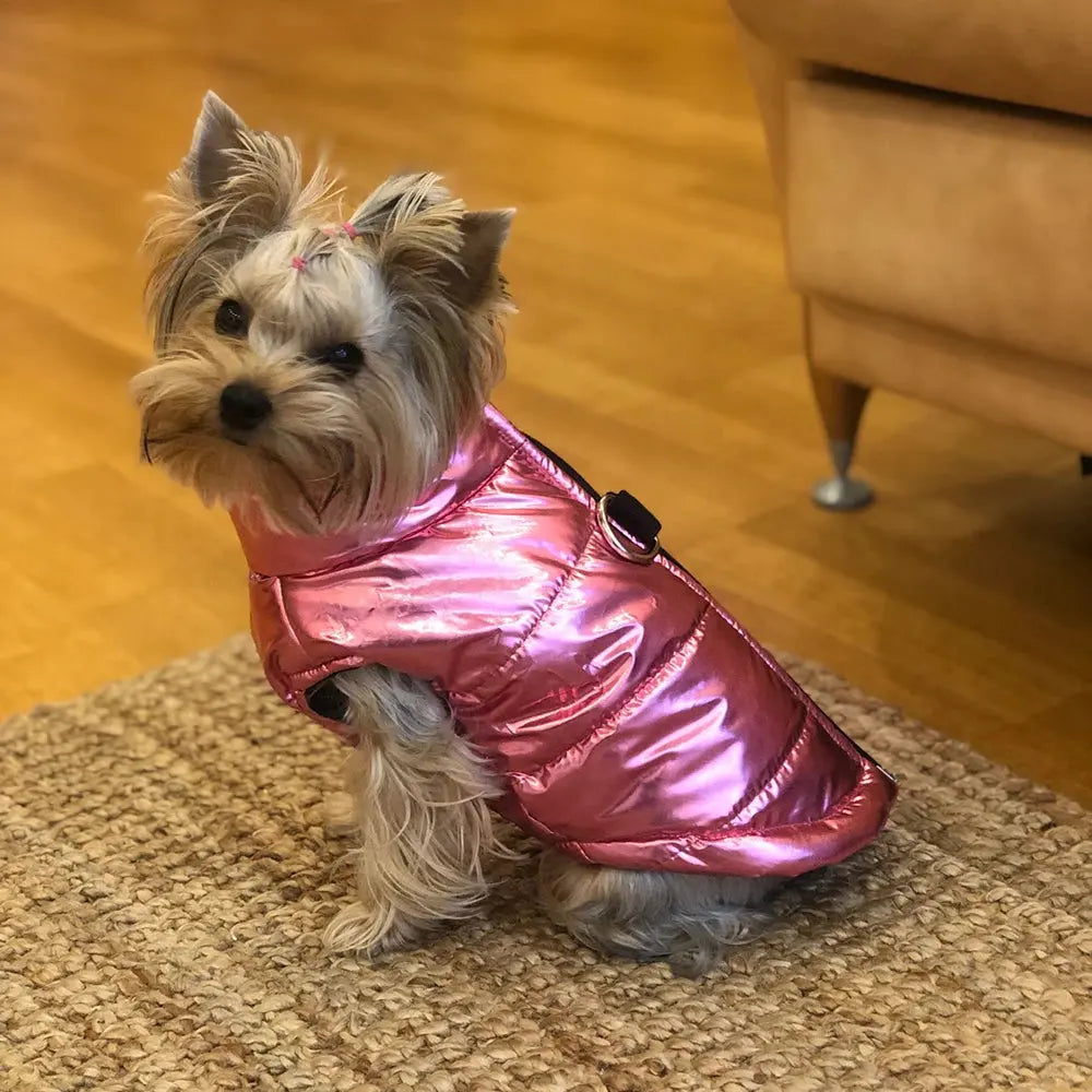 Winter Dog Clothes For Small Medium Dogs Cat Outdoor Waterproof Warm Jacket Puppy Coat Yorkies Chihuahua Pug Outfits Pet Costume - Nova Trendz