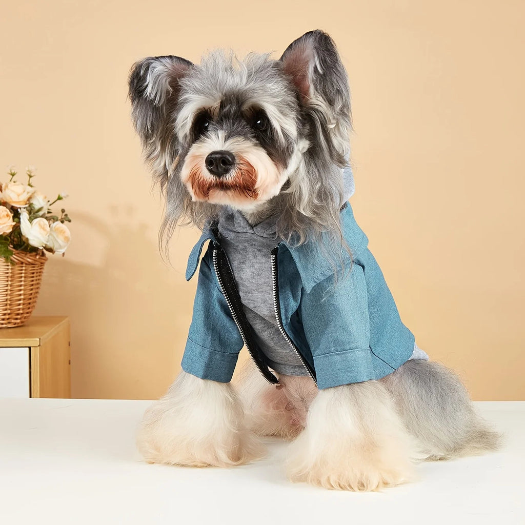 Winter Dog Clothes Pet Warm Hoodies Fashion Comfortable Dog Coat for Small Medium Dogs Nova Trendz