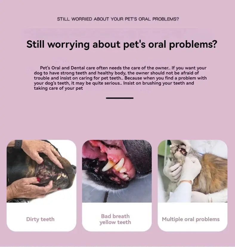 Pet Toothpaste Toothbrush Dog Cat Teeth Cleaning Dog Cat Fingertips Cat Dog Disposable Toothbrush Toothpaste Set - Nova Trendz
