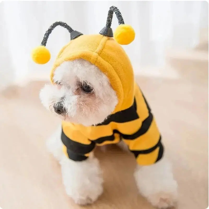 Pet Halloween Costume Honey Bee Role Play Hoodie with Buckle or Not Dogs Cats Party Cosplay Funny Outfit Clothes Dog Hoodies - Nova Trendz