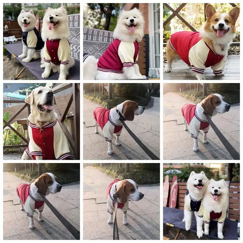 M~7XL Warm Big Dog Baseball Suit Medium Large Dogs Autumn Winter Clothing Golden Retriever Labrador Dog Sweater Thick Style - Nova Trendz