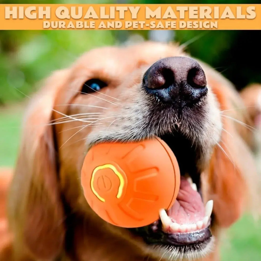 Pet toys Gravity Electric Amusement Pet Ball Smart Bouncing Ball For Dogs and Cats - Nova Trendz