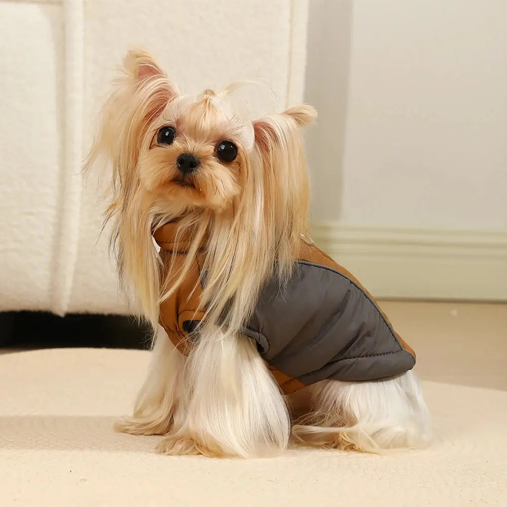 Winter Warm Pet Dog Clothes For Small Dogs Coat Waterproof Reflective Puppy Jacket French Bulldog Outfit Chihuahua Vest Supplies - Nova Trendz