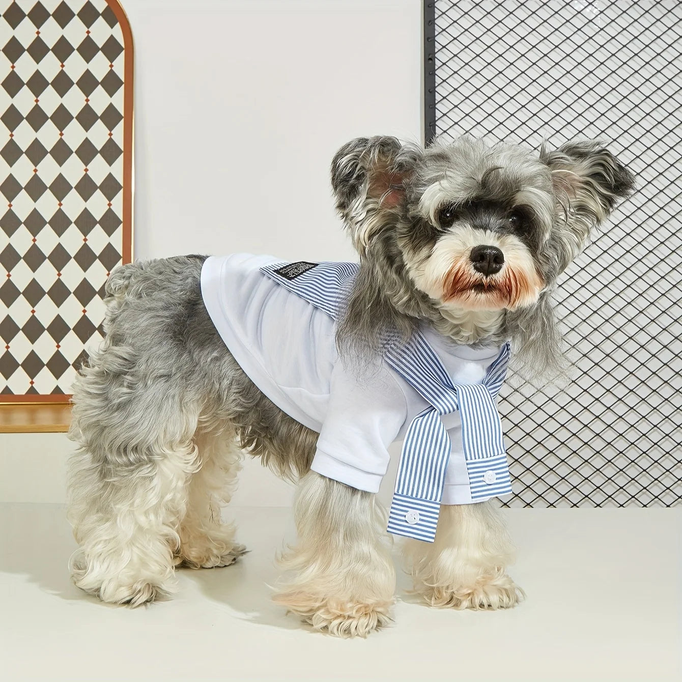 Summer Dog Clothes Casual Versatile Dog T-shirt Suitable for Small Medium Dogs Chihuahua French Bulldog Pet Shirt Nova Trendz