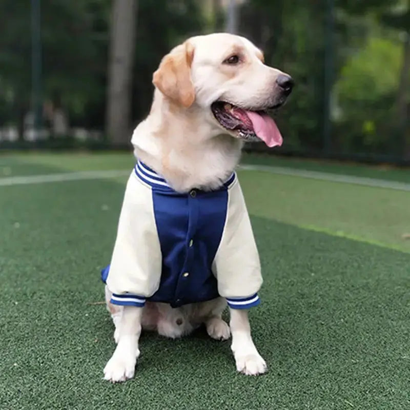 M~7XL Warm Big Dog Baseball Suit Medium Large Dogs Autumn Winter Clothing Golden Retriever Labrador Dog Sweater Thick Style - Nova Trendz