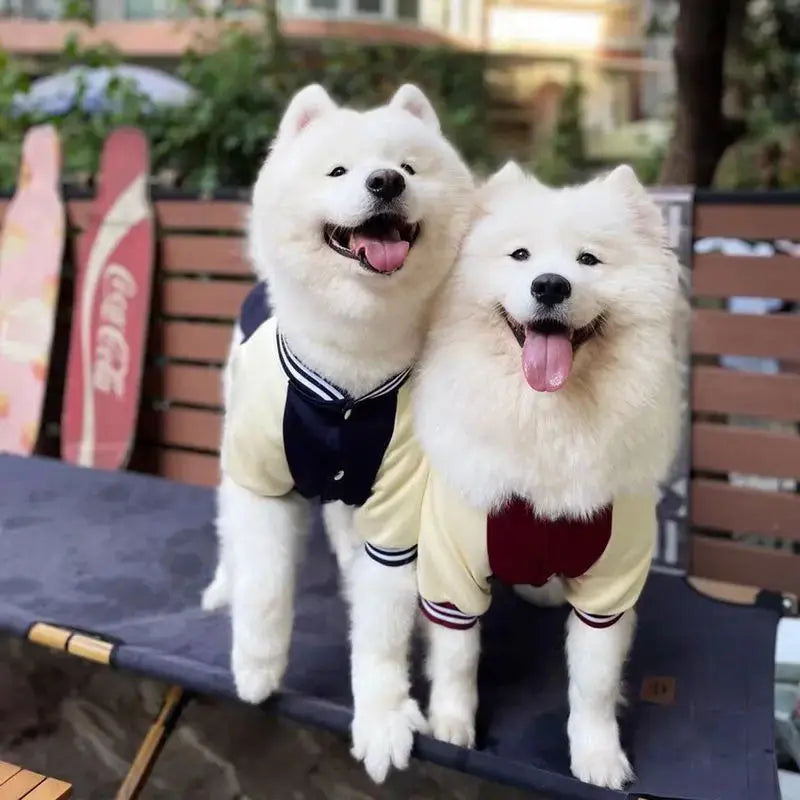 M~7XL Warm Big Dog Baseball Suit Medium Large Dogs Autumn Winter Clothing Golden Retriever Labrador Dog Sweater Thick Style - Nova Trendz