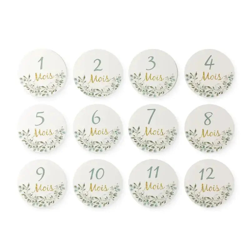 8pc/set Wooden Baby Milestone Card For Newborn Cute Cloud Shape Photography  Props Accessories Month Cards Sticker Newborn Gifts Nova Trendz