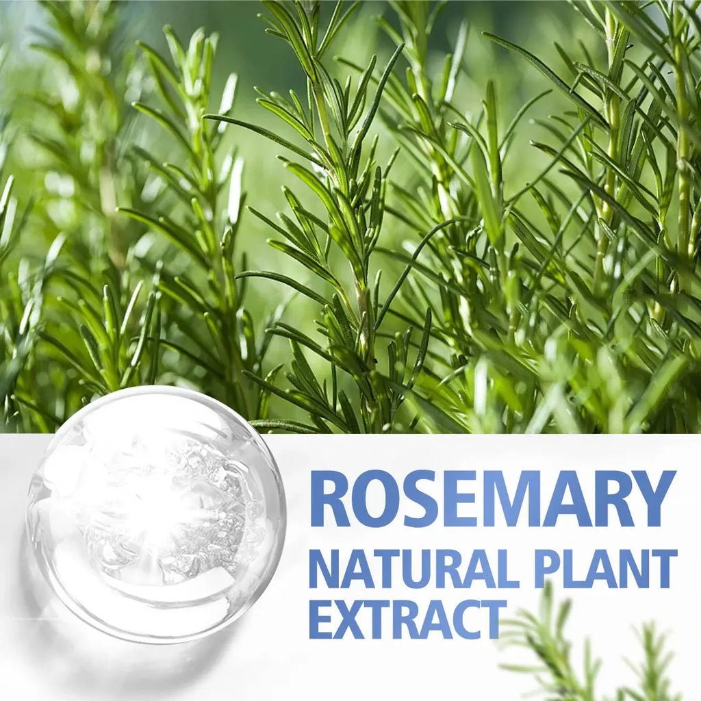 Rosemary essential oil hair care scalp massage skin care high quality essential oil suitable for all hair types nourishing care Nova Trendz