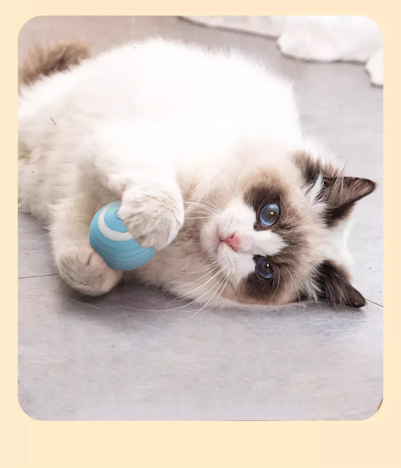 Electric Cat Toy Smart Rolling Ball Resistant To Bite Teasing Cats Toys Self-exciting Ball Artifact Dust-free Pet Supplies