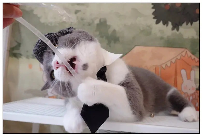 Funny Pet Cat Hat Gentleman's Hat Beret Tie Bathing Blood Gangster Handsome Cosplay Photo Prop Dog Halloween Costume Nova Trendz