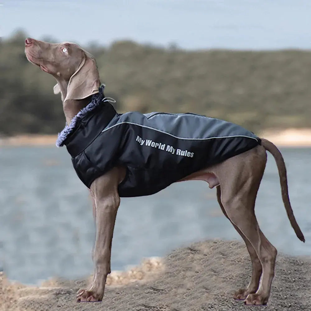 Thickened Big Dog Coat Jacket with Fur Collar Winter Warm Pet Clothes for Medium Large Dogs Greyhound Doberman mascotas Outfits - Nova Trendz