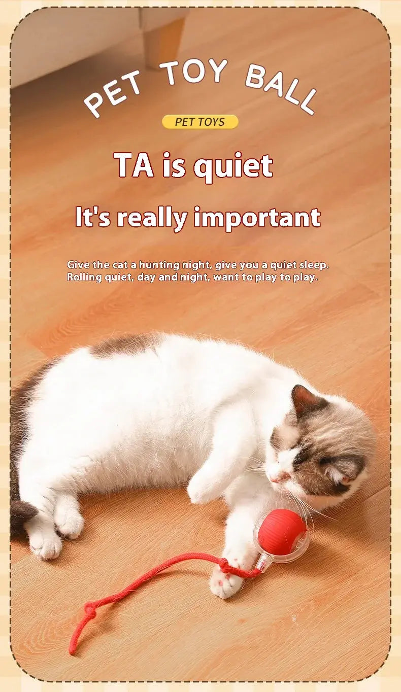 Cat Interactive Ball Toys Automatic Rolling Ball Faux Tail Rechargeable Smart Pet Electric Toy Dog Cat Training Imitate Mouse - Nova Trendz