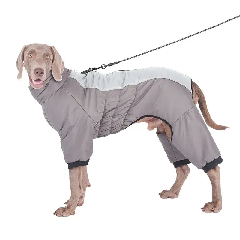 Waterproof Pet Dog Winter Jumpsuit Warm Medium Large Dogs Winter Jacket Clothes Labrador Bulldog Golden Retriever Costumes - Nova Trendz