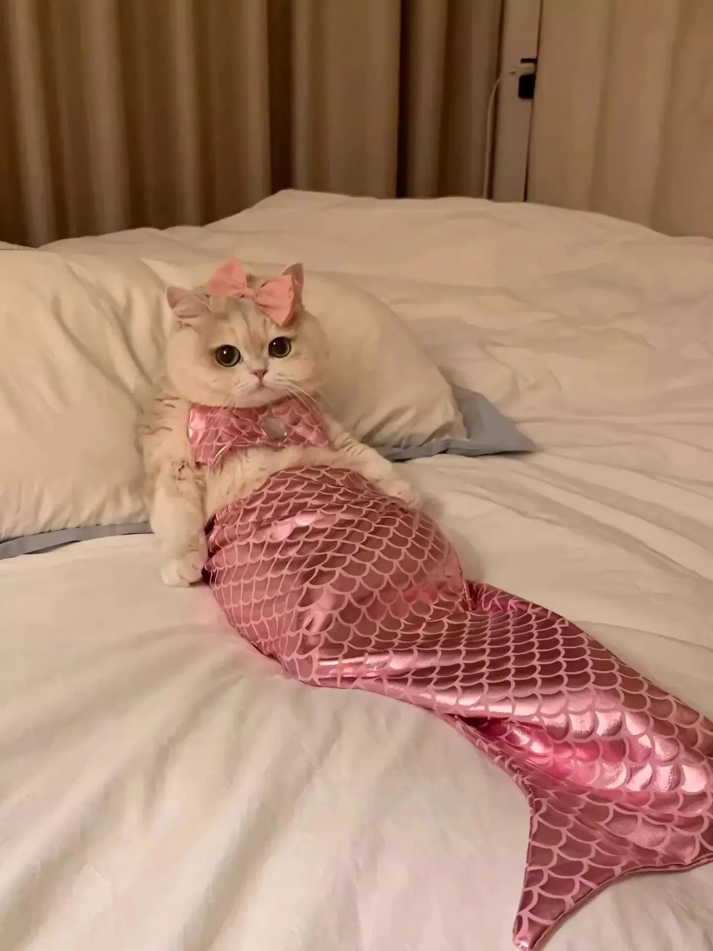 Cat Mermaid Crossdressing Funny Swimsuit Fish Tail Shape Cute Bikini Dog Pet Clothes Pet Halloween Costume Cats Clothes - Nova Trendz