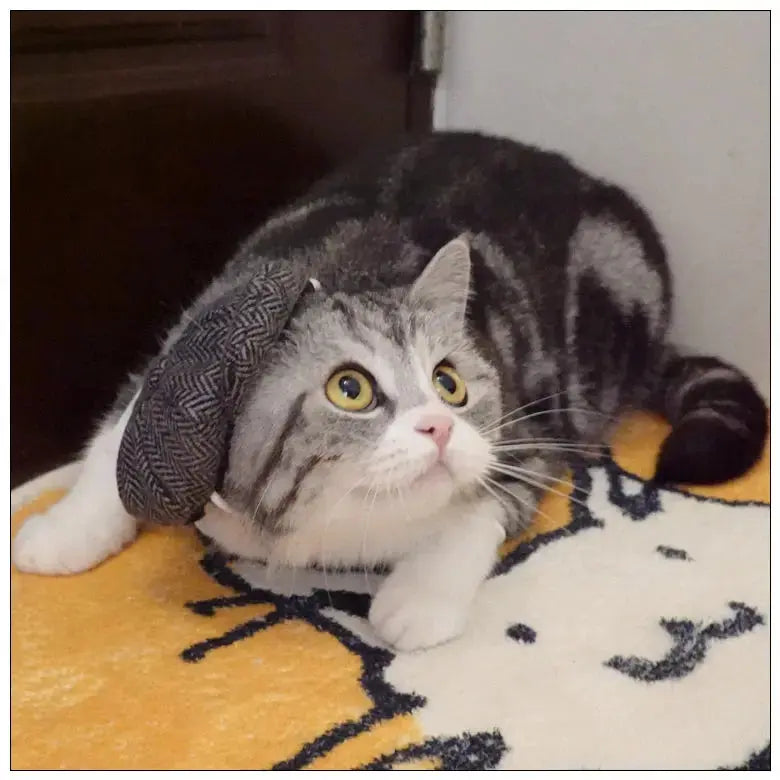 Funny Pet Cat Hat Gentleman's Hat Beret Tie Bathing Blood Gangster Handsome Cosplay Photo Prop Dog Halloween Costume Nova Trendz