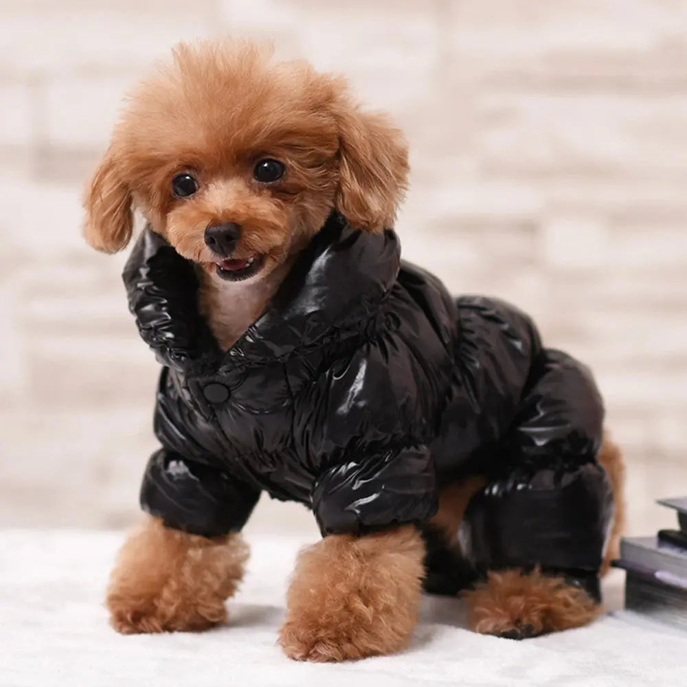 Warm Dog Clothes For French Bulldog Pug Chihuahua Yorkies Clothes Winter Pet Puppy Coat Jacket Dogs Pets Clothing Ropa Perro Nova Trendz