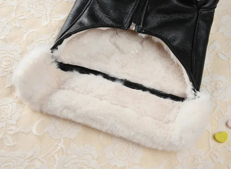 Flying Eagle PU Dog Clothes Plus Velvet Warm Pet Dog Coat Winter Thicken Leather Puppy Jacket Clothes For Small Medium Dogs Cats - Nova Trendz