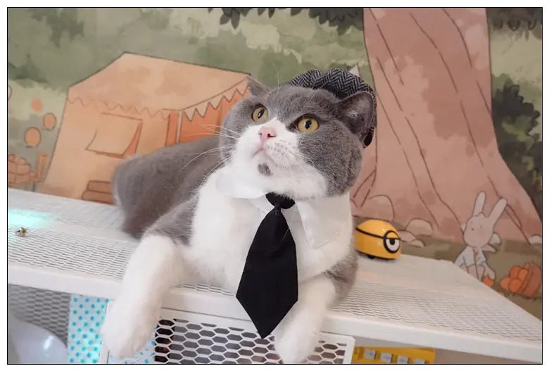Funny Pet Cat Hat Gentleman's Hat Beret Tie Bathing Blood Gangster Handsome Cosplay Photo Prop Dog Halloween Costume Nova Trendz