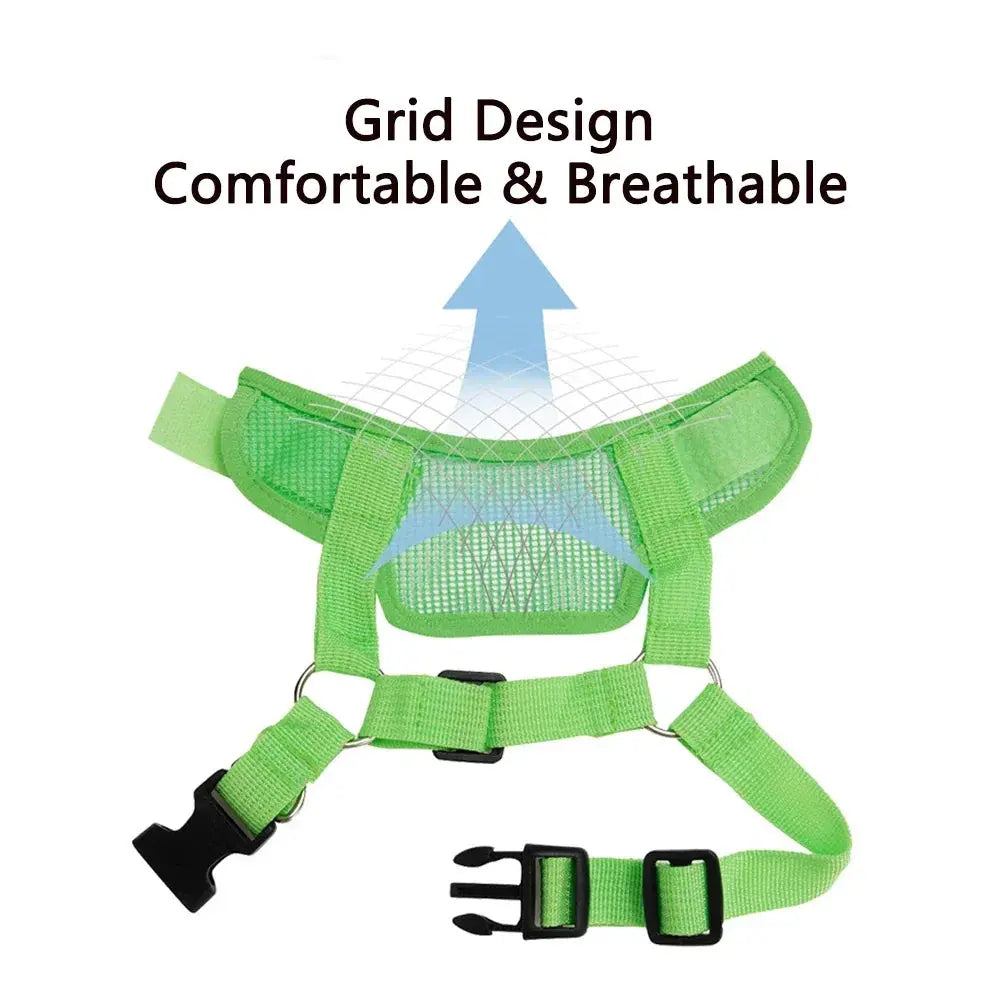 Adjustable Dog Muzzle Summer Mesh Breathable Muzzle for Small Medium Large Dogs Anti-bite Anti-bark Dog Mouth Cover Pet Supplies Nova Trendz