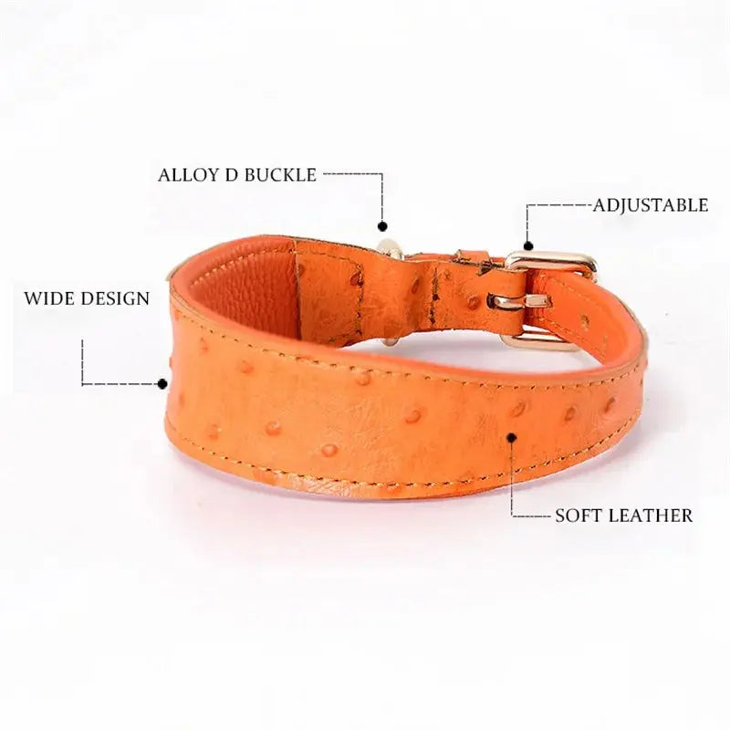 Leather Dog Collar Fashion Solid Color Ostrich Pattern Adjustable Pet Neck Ring Suitable For Small Large Dogs Kitten Puppy Items Nova Trendz