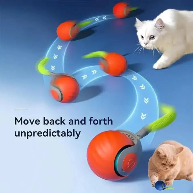 New Interactive Cat Toys Ball Auto Electric Rolling Ball Toys for Cat Kitty Pet Smart Automatic Teaser USB Rechargeable Cat Toy - Nova Trendz