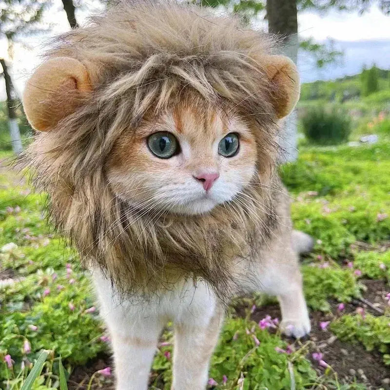 Cat Cosplay Dress Up Pet Hat Lion Mane for Cat Puppy Lion Wig Costume Party Decoration Halloween Christmas GatosPet Supplies Nova Trendz