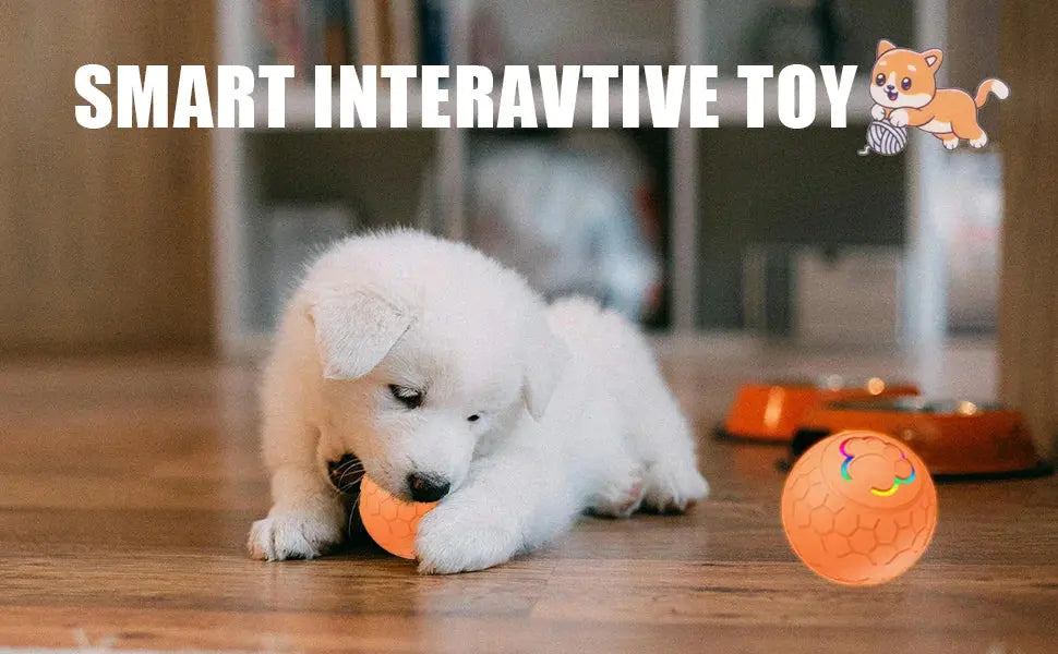 Smart Dog Toy Ball Electronic Interactive Pet Toy Ball USB Automatic Bouncing Rolling Toy Ball With RGB Lights Puppy Cat Product - Nova Trendz
