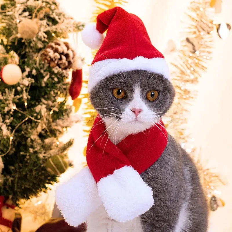 Cute Pet Christmas Ornaments Winter Plush Xmas Hat Scarf Headwear Cats Dogs Santa New Year Cosplay Costume Pet Accessories Nova Trendz