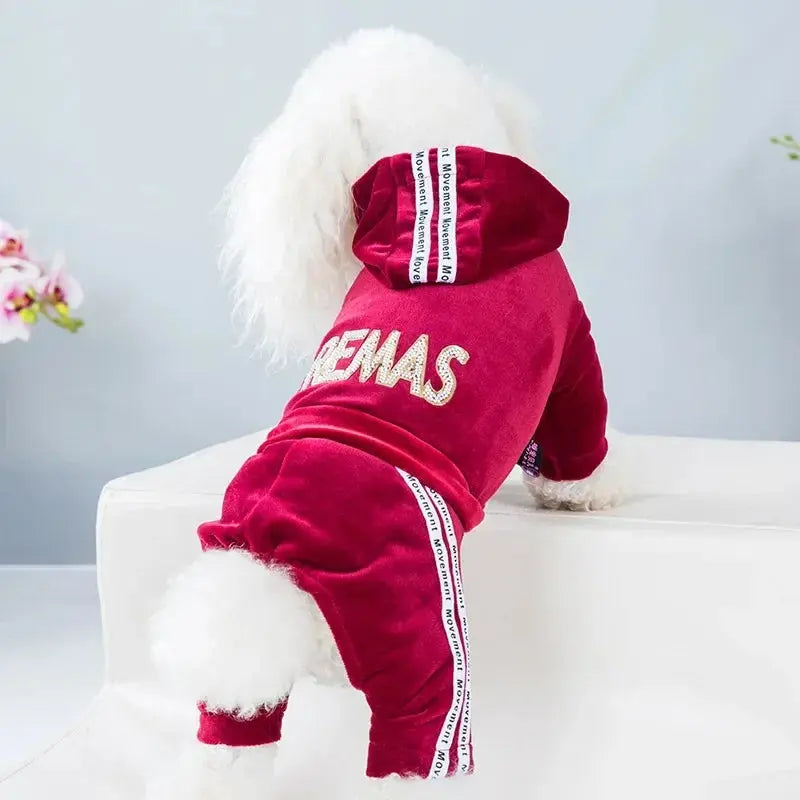Luxury Velvet Dog Clothes,Dog Jumpsuit,Small Medium Dogs,Yorkie Puppy Costume,Hooded Coat,Tracksuit Overalls,Autumn,Winter - Nova Trendz
