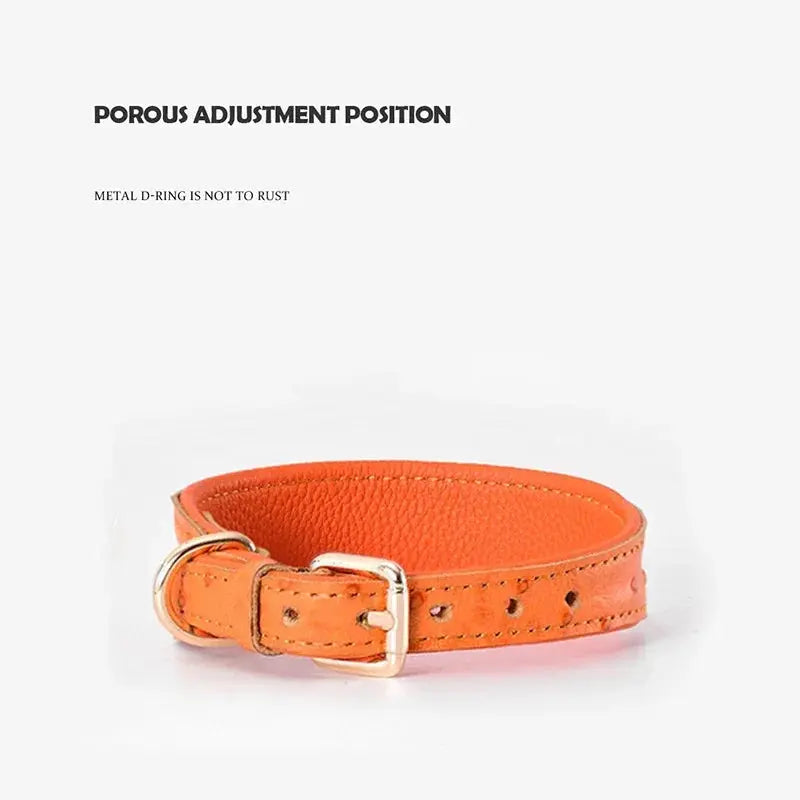 Leather Dog Collar Fashion Solid Color Ostrich Pattern Adjustable Pet Neck Ring Suitable For Small Large Dogs Kitten Puppy Items Nova Trendz
