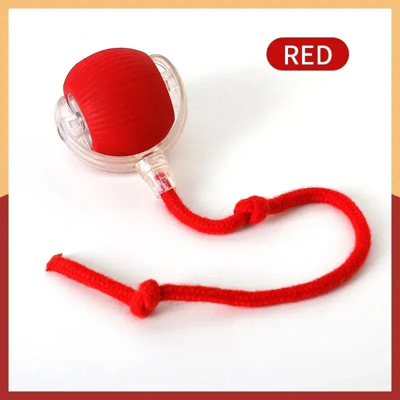 Cat Interactive Ball Toys Automatic Rolling Ball Faux Tail Rechargeable Smart Pet Electric Toy Dog Cat Training Imitate Mouse - Nova Trendz